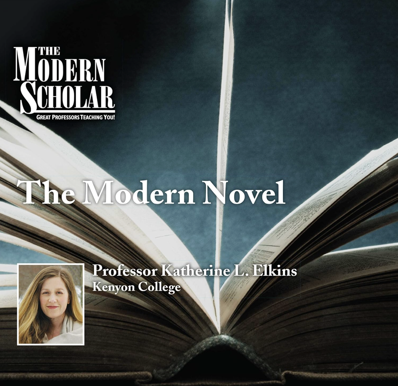 The Modern Scholar: The Modern Novel cover